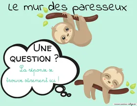 Mur des paresseux