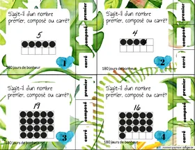 CATnombrecomposéetpremier