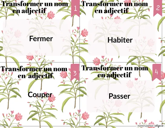 Nom et adjectif