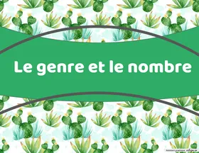 Cartes à taches F