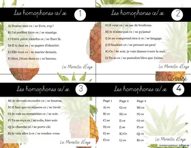 Les homophones ce/se