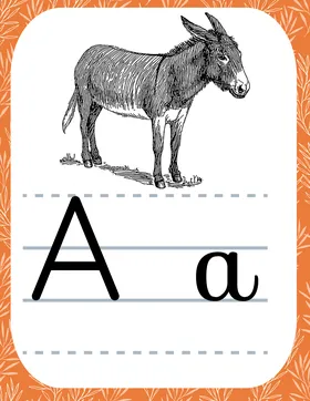 Alphabet