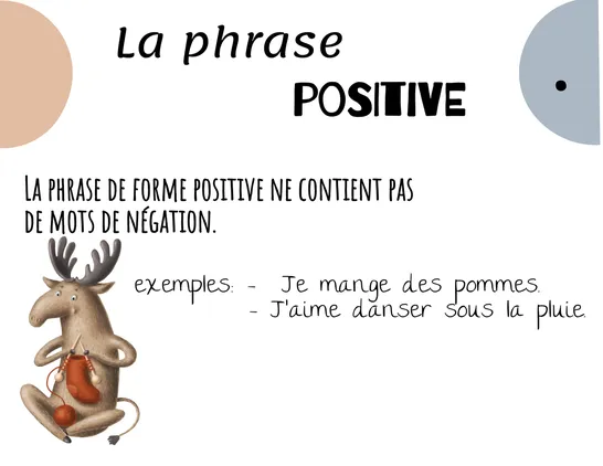 Phrase positive et négative, 6e année, Affiches, Grammaire
