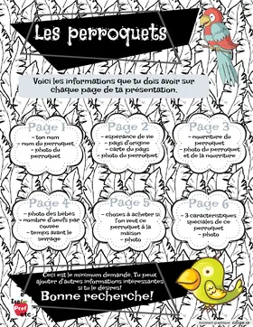 Recherche Perroquets - Isa Prof Etc