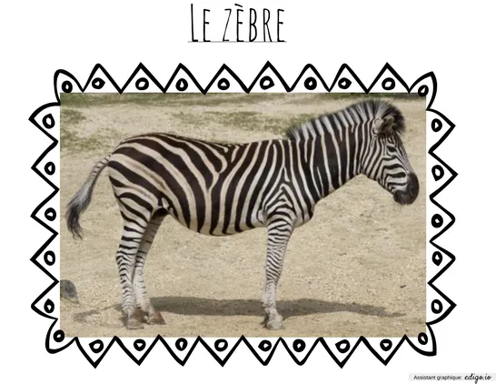 Safari- Kenya