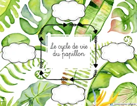Cycle de vie