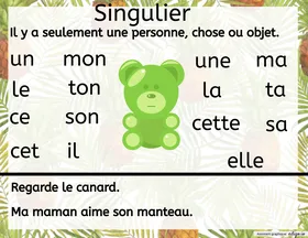 Singulier et Pluriel