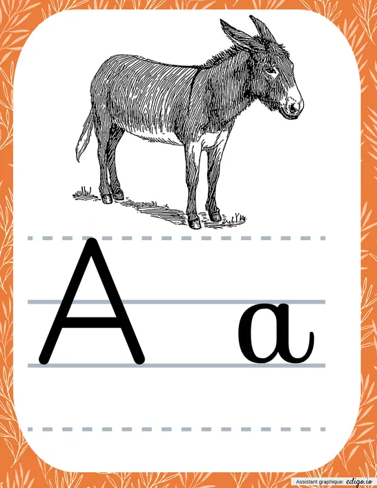 Alphabet