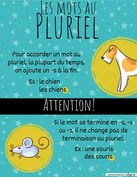 Pluriel