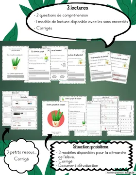 Activités et évaluations
