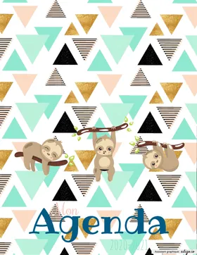 Agenda 2020-2021 de base + stage et suppléances