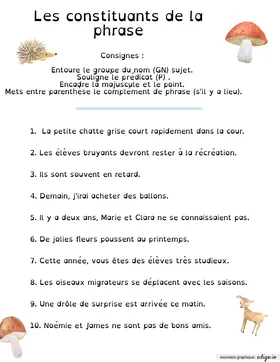 Identifier les constituants de la phrase