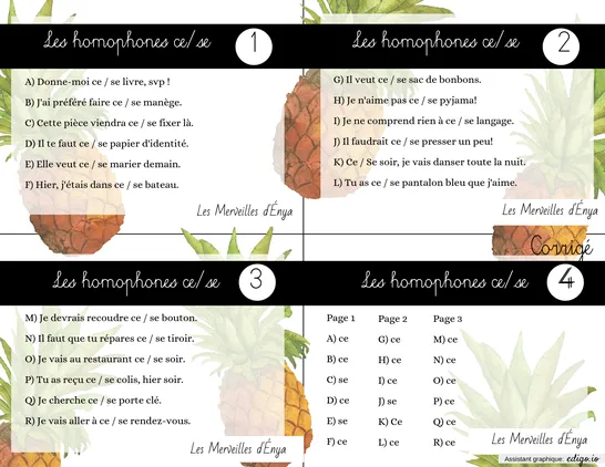 Les homophones ce/se