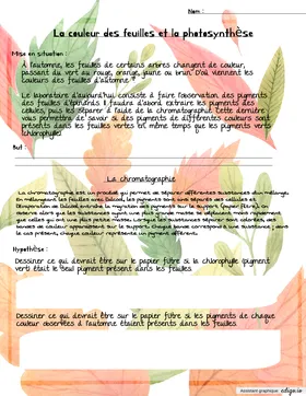 La chromatographie