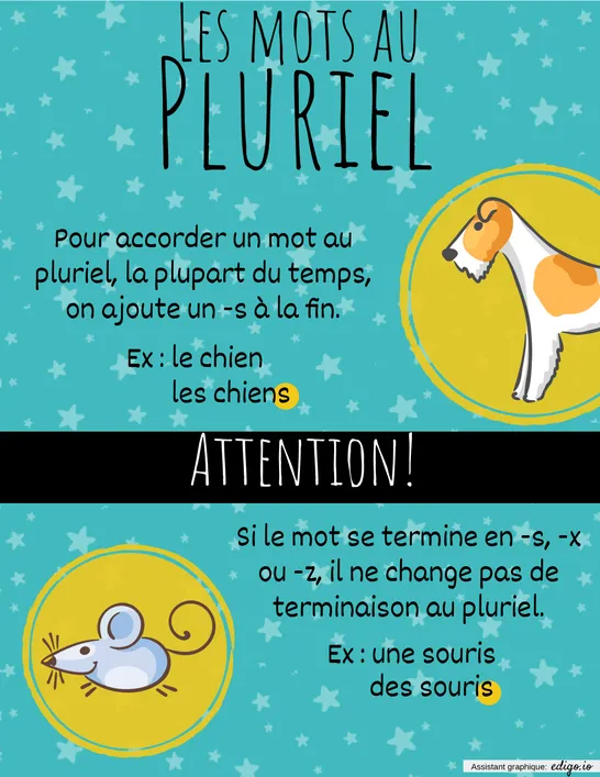 Pluriel