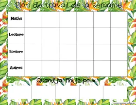 Plan de travail