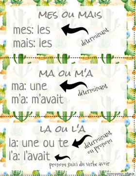 Homophones
