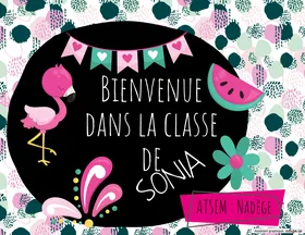 Affiche porte classe