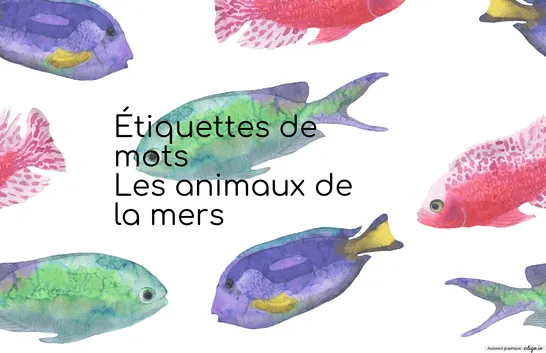 Mots étiquettes animaux marins
