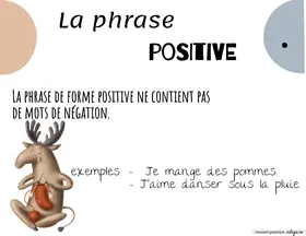 Phrase positive et négative