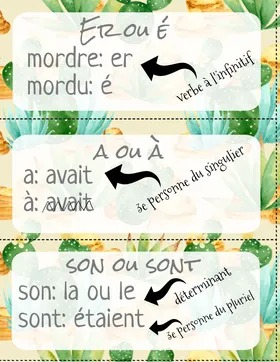 Homophones