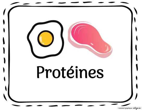 Protéines
