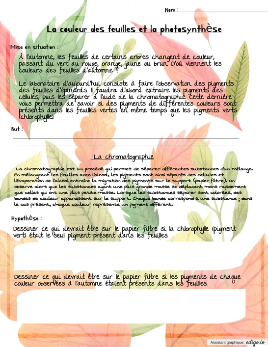 La chromatographie