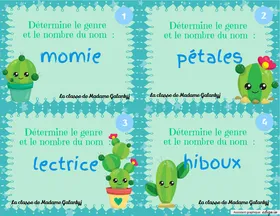 Le genre et le nombre du nom