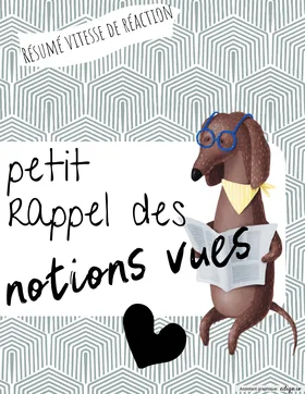 Résumé -Vitesse de réaction