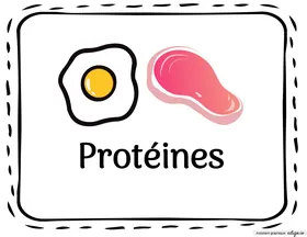 Protéines