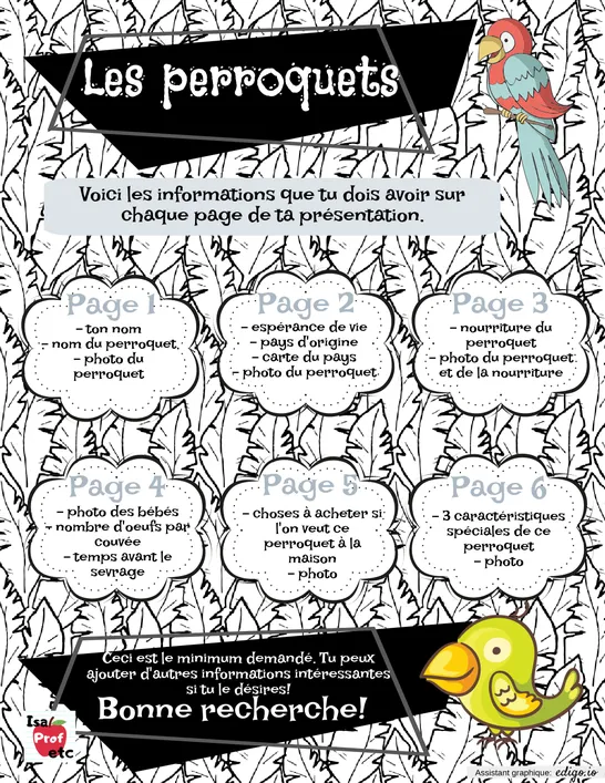 Recherche Perroquets - Isa Prof Etc