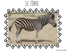 Safari- Kenya