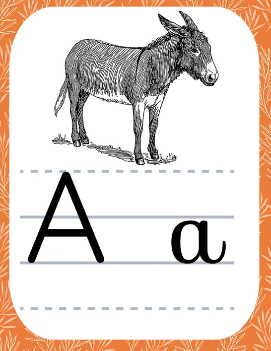 Alphabet, 6e année, Affiches, Lecture