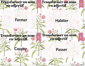 Nom et adjectif
