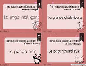 CAT - groupe du nom