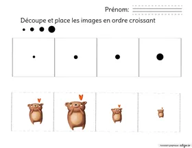 Ordre croissant - Les oursons !
