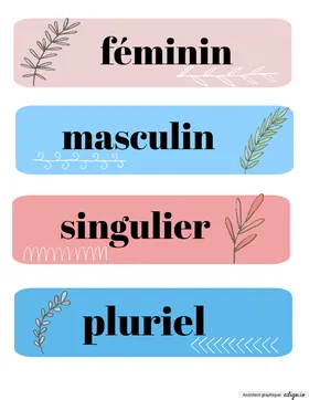Genre/nombre