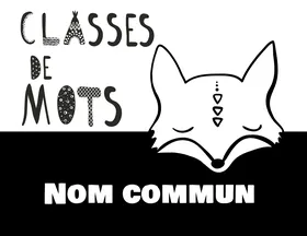 Affiches classes de mots
